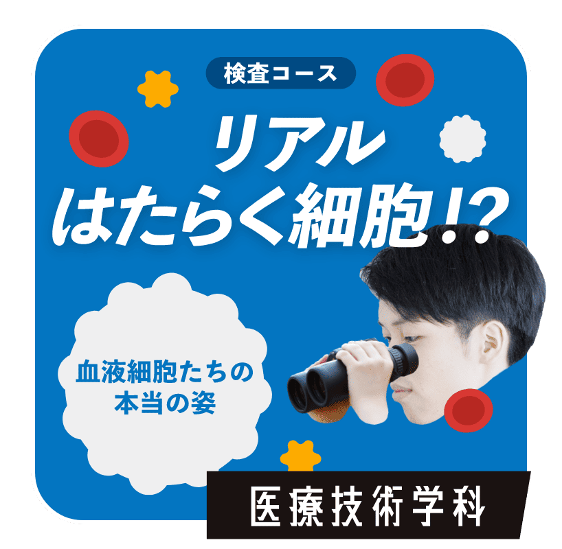 リアルはたらく細胞！？　医療技術学科