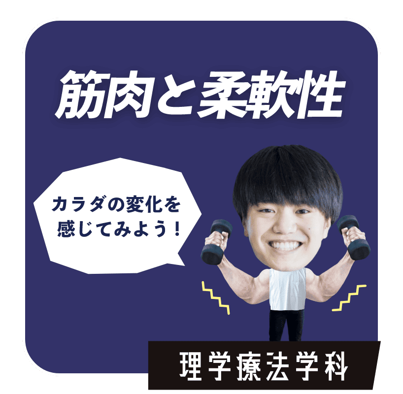 筋肉と柔軟性　理学療法学科